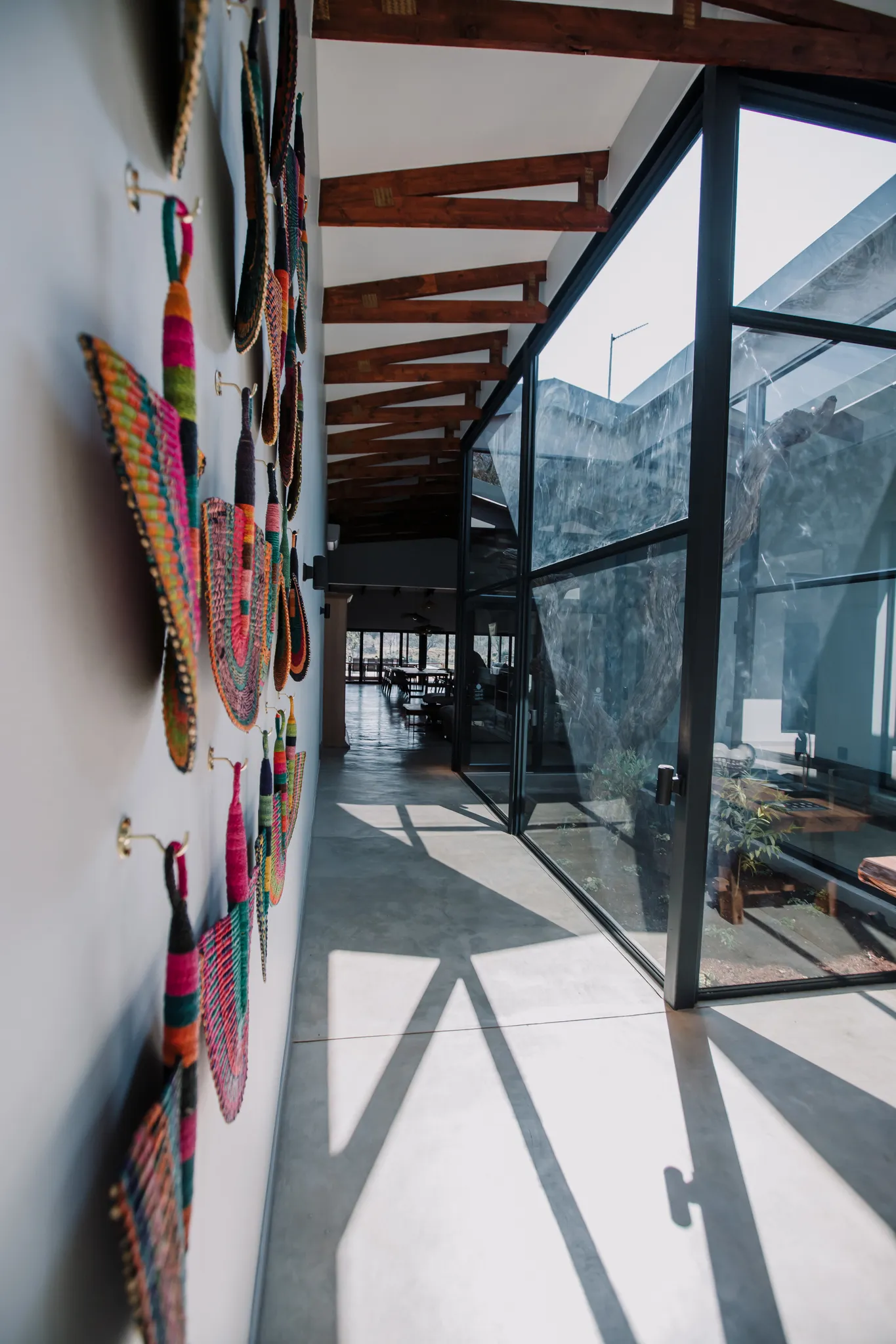 Hallway with a glass tank in the middle filled with plants that has direct sunlight.